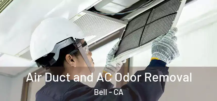 Air Duct and AC Odor Removal Bell - CA