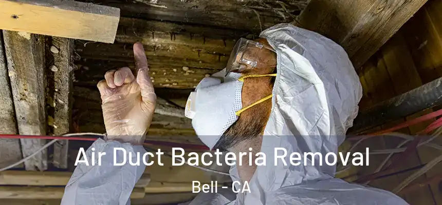  Air Duct Bacteria Removal Bell - CA