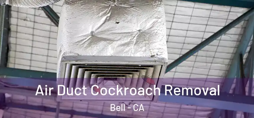  Air Duct Cockroach Removal Bell - CA