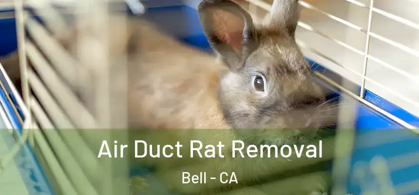  Air Duct Rat Removal Bell - CA