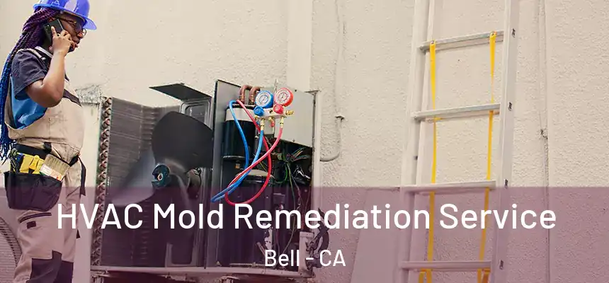 HVAC Mold Remediation Service Bell - CA