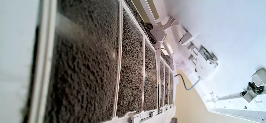 Preventive Air Duct Bacteria Removal in Bell