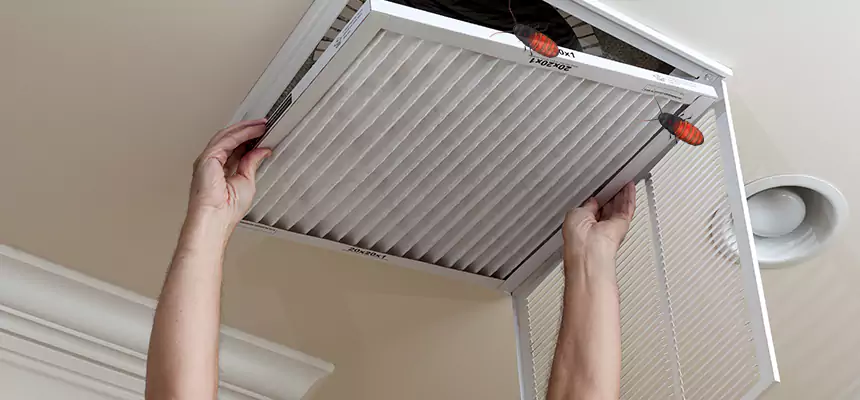 Preventive Cockroach-Proofing for Ducts in Bell