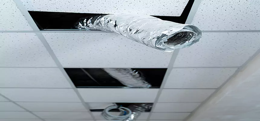 Affordable HVAC Sanitizing After Pest Removal in Bell