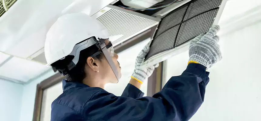 Our Mold & Mildew Removal from Air Ducts Services in Bell, CA