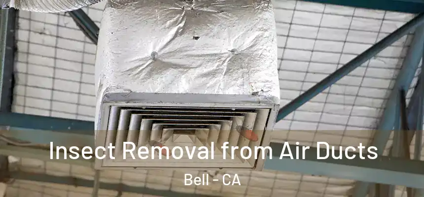 Insect Removal from Air Ducts Bell - CA