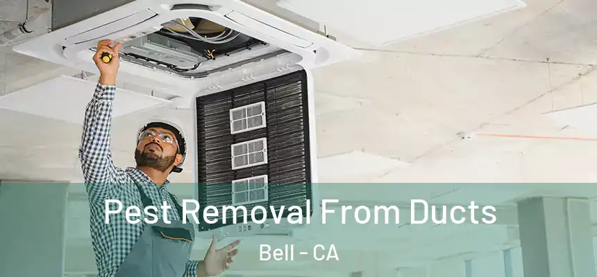  Pest Removal From Ducts Bell - CA