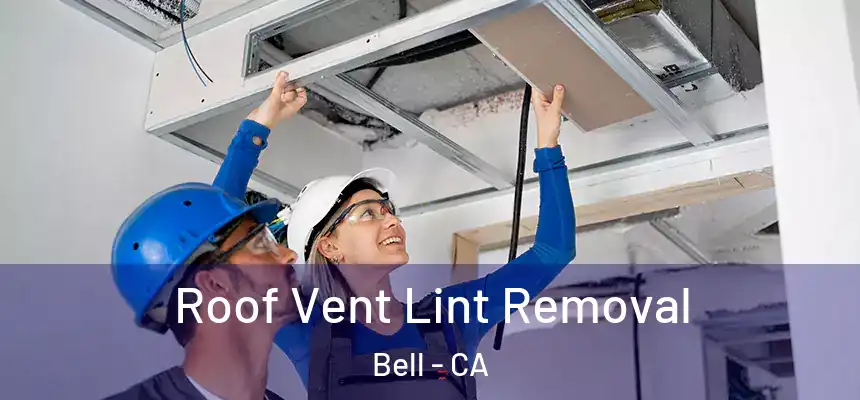 Roof Vent Lint Removal Bell - CA