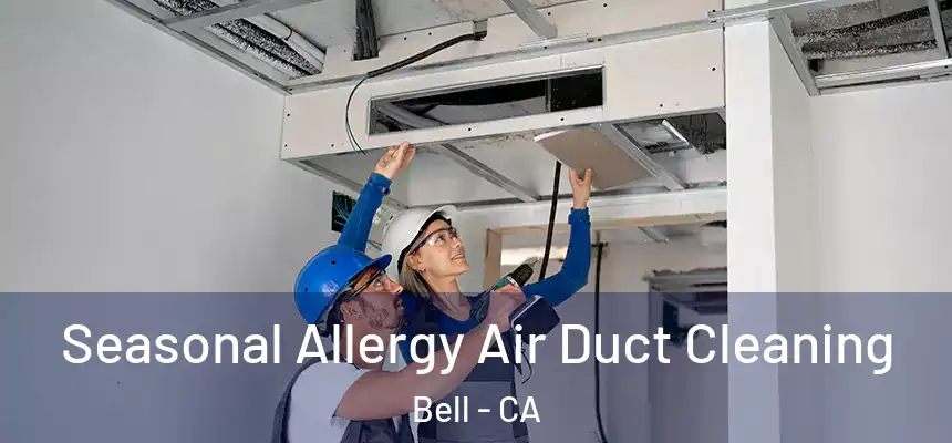  Seasonal Allergy Air Duct Cleaning Bell - CA