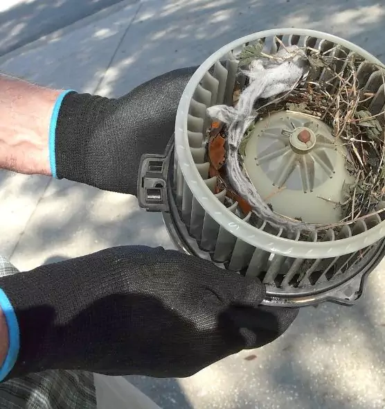 About Air Duct Mice Removal in Bell, CA