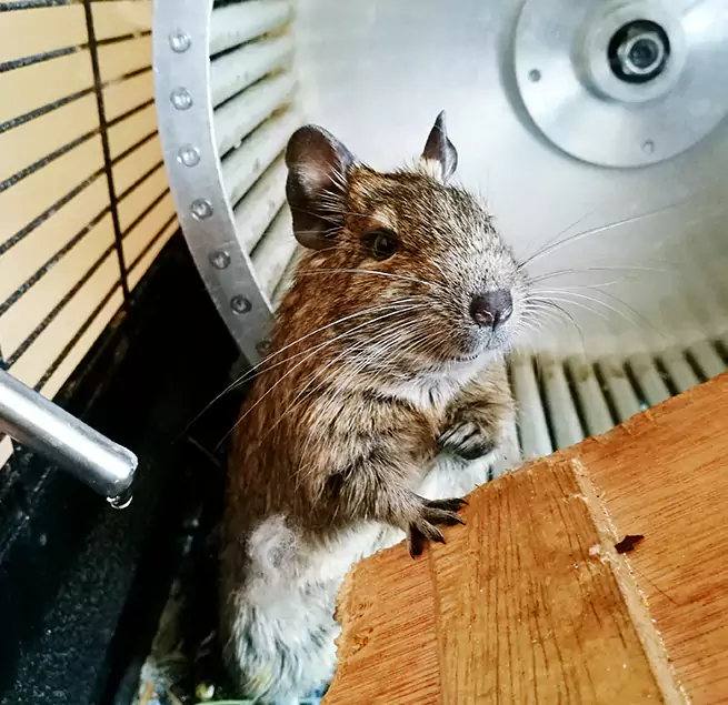 Why Homeowners & Businesses Trust Us Bell, CA?