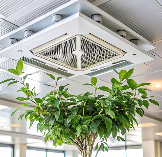 Why Homeowners & Businesses Trust Us in Bell, CA?