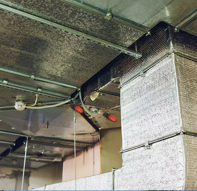 Why Homeowners & Businesses Trust Us Bell, CA?